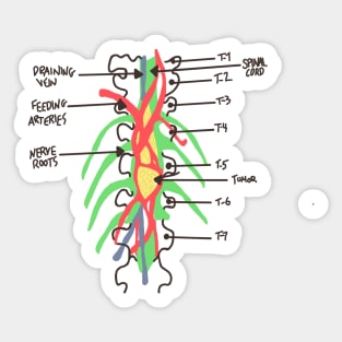 Greys Anatomy/Medicine/Spinal Cord/ Nerves/ Derek shepherd/ Grey Sloan/ Med School Sticker